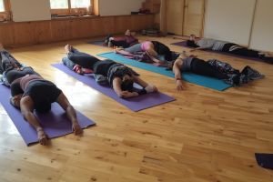 Peaceful Yin yoga session with students holding long passive poses supported by props